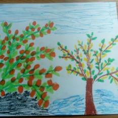 Autor: Magda C.
