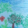 Autor: Magda C.