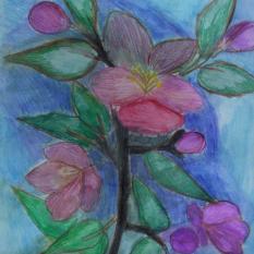 "Gałązka jabłoni", akwarela