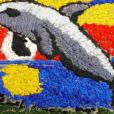 "Delfin", haft dowolny
